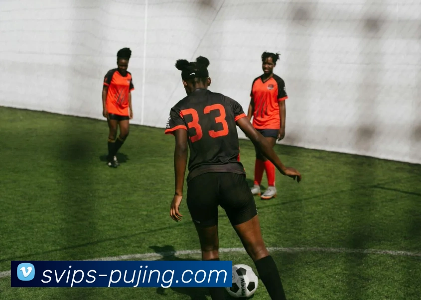 新葡京官网平台生态图