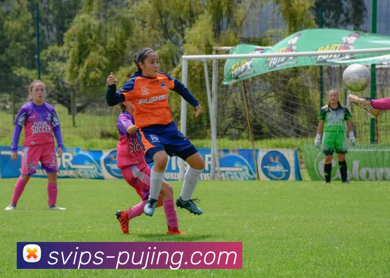 新葡京官网APP 封面图