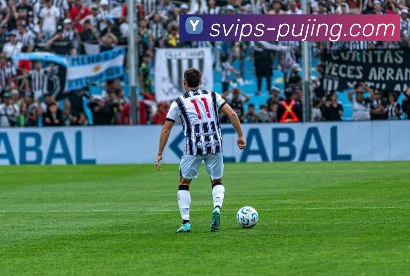 数据防护可视化